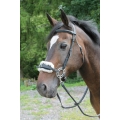 BITLESS BRIDLES – Where to start and which ones to choose?
